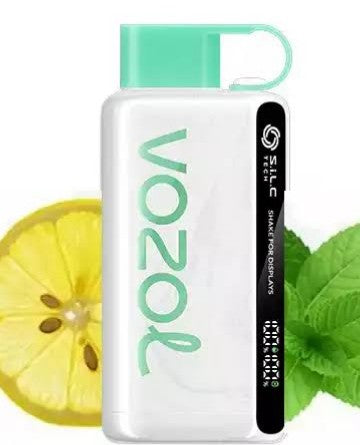 Vozol 12000 Lemon mint