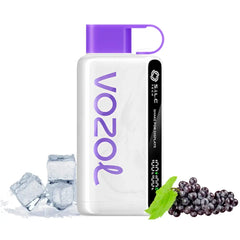 Vozol 12000 Puff Grape Ice (Kopya)